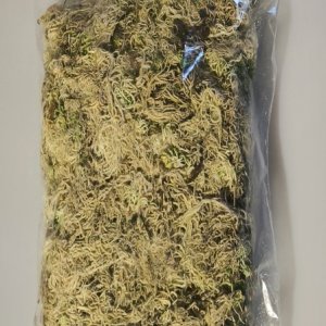 Мох сфагнум д/растений Родники  Родники