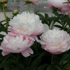  Родники