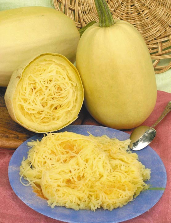 Кабачок